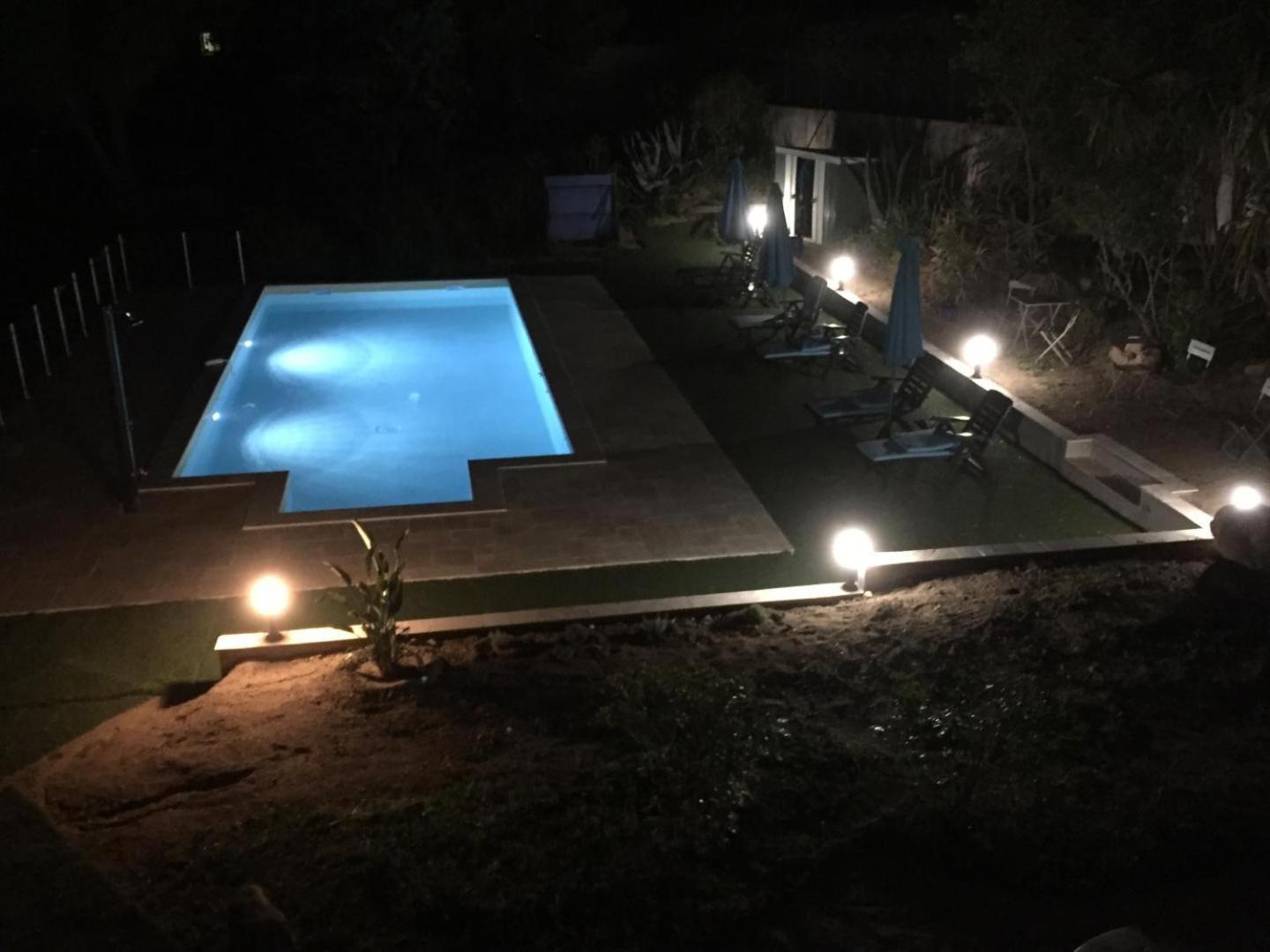 Corsicadream Arone Superbe Appartement Dans Villa, Vue Panoramique Mer, Piscine, Proche Porticcio Pietrosella エクステリア 写真