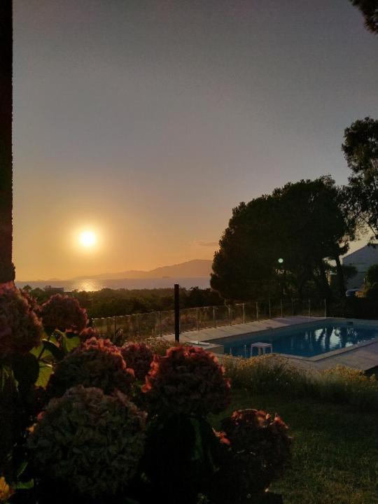 Corsicadream Arone Superbe Appartement Dans Villa, Vue Panoramique Mer, Piscine, Proche Porticcio Pietrosella エクステリア 写真